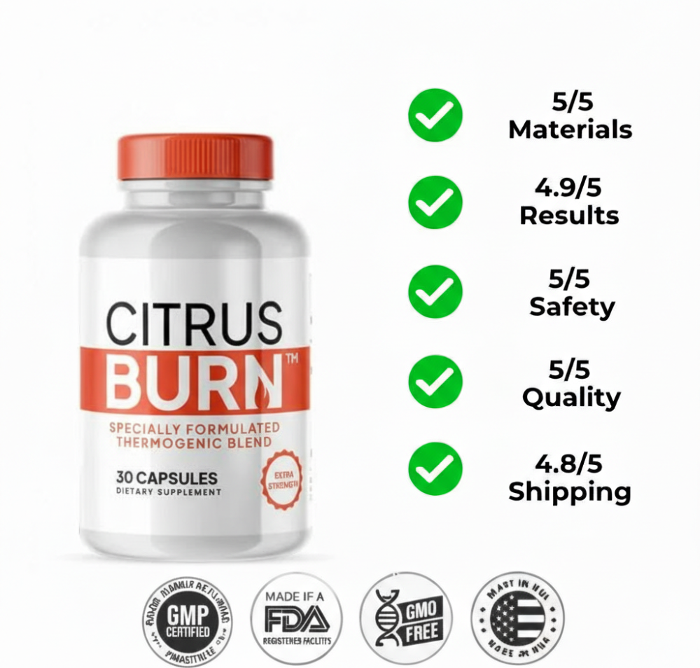 Whisk_50d25d98decc21186294fc8ebfa482d3dr